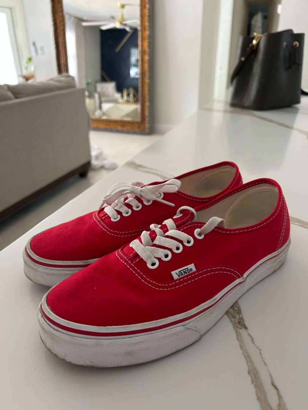 Vans Red Canvas Low-Top Sneakers